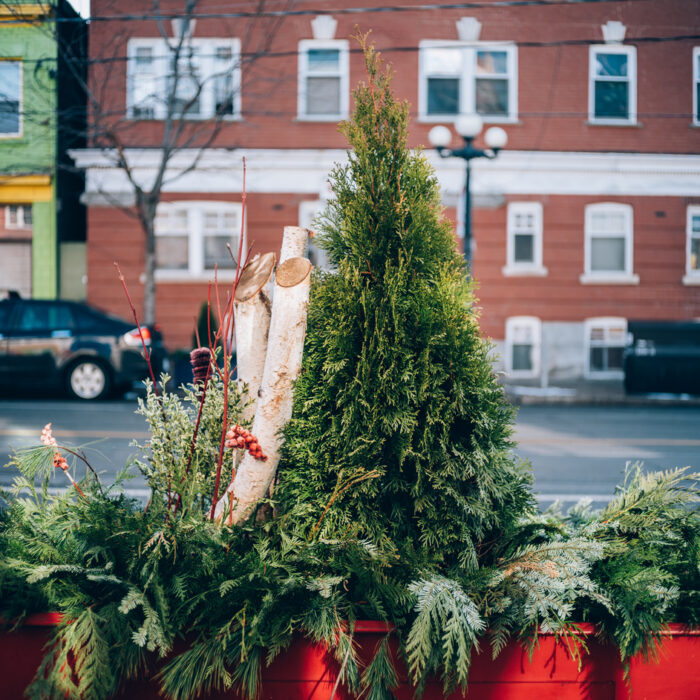 Winter theme planters  on a city sidewalk. City street view in the background. Shallow depth of field with focus on foreground.